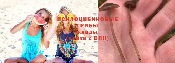соль ск Строитель