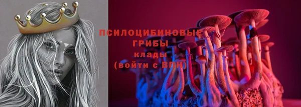 амф Балахна
