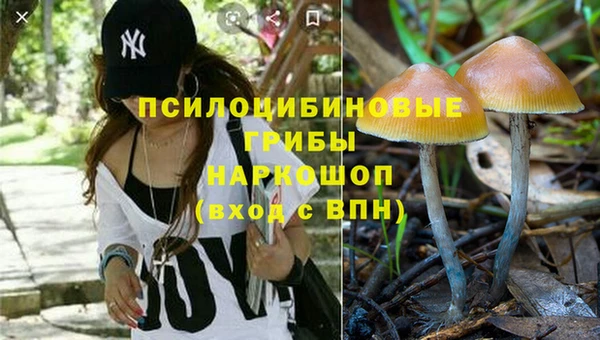 мескалин Баксан