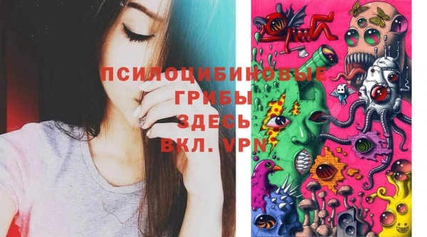мескалин Баксан