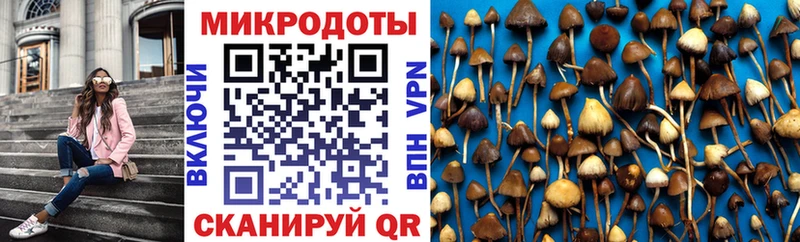 Псилоцибиновые грибы прущие грибы  mega зеркало  Калининец  что такое  